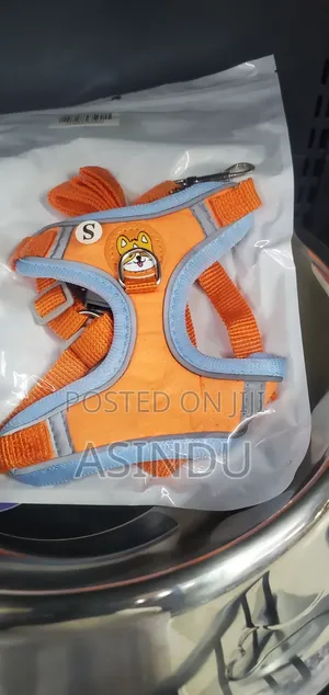 Pet Harness