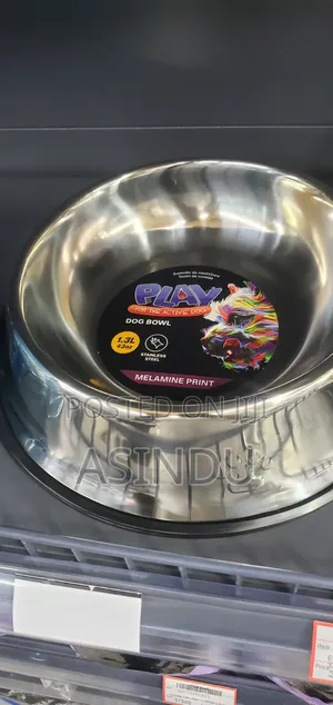 Stainless Dog Feeding Bowel