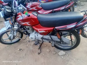 Bajaj CT 110X 2023 Red