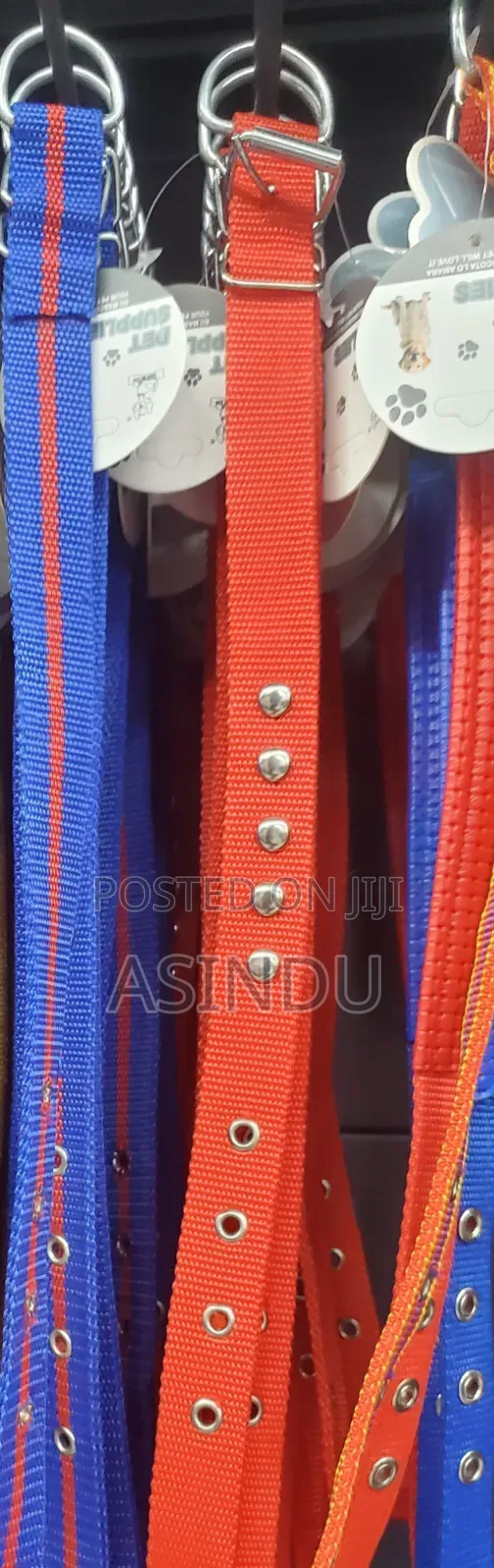 Cat and Dog Collars