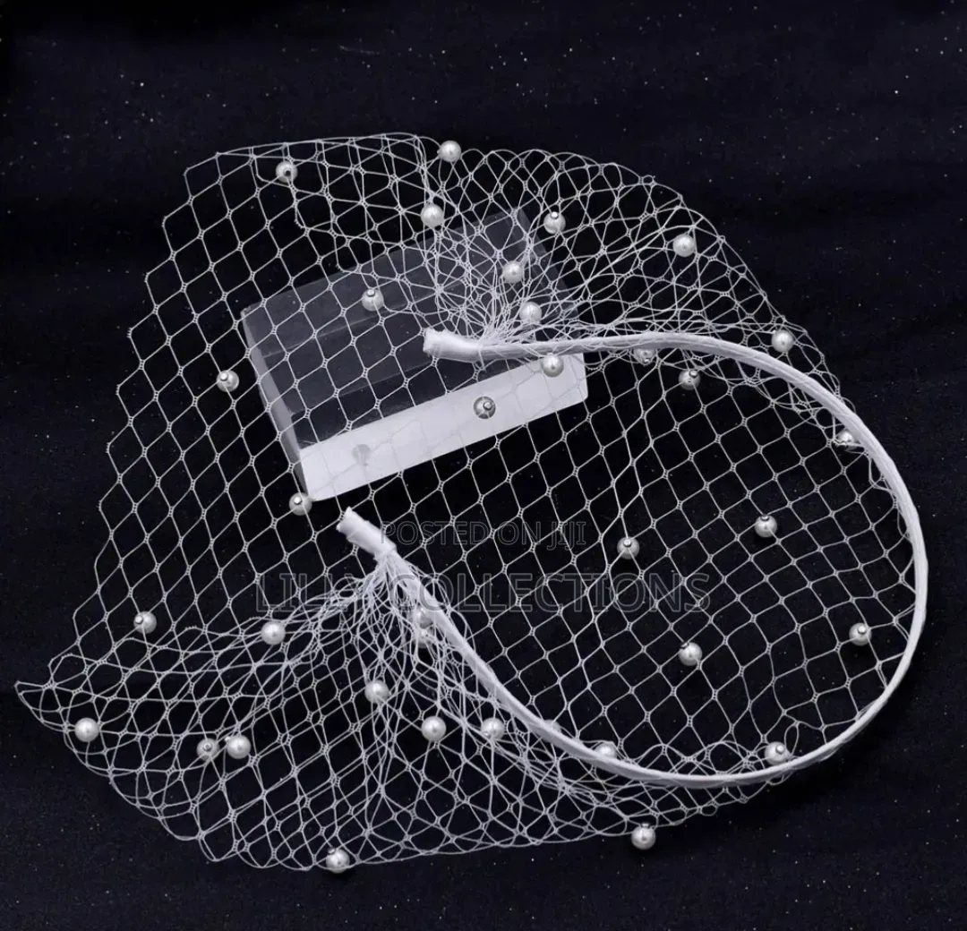 Women's Mesh Face Veil