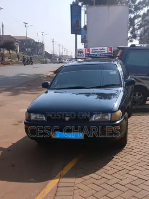 Driving School Services.