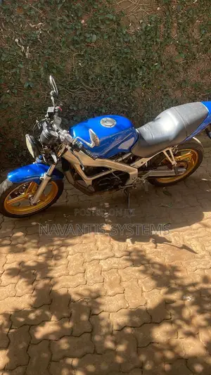 Honda VT 2008 Blue