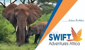 Tours and Travels