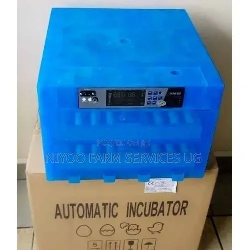 Imported 128 Automatic Egg Incubators