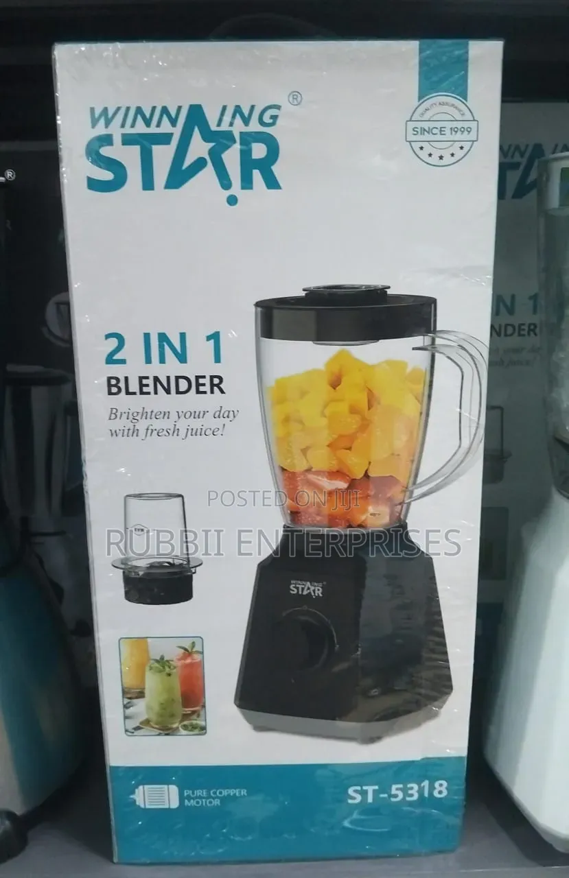 Winning Star Blender 2 in 1 ~ St5318