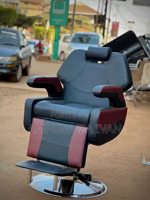 Professional Barber Chair 22211