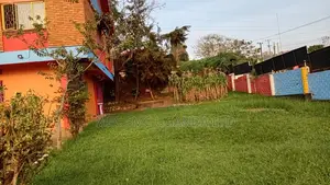 Future Learners Elementary School, Bukoto