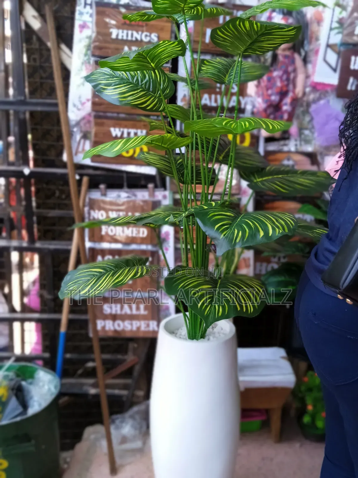 Artificial Plants/Flowers