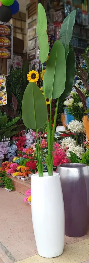 Artificial Plants/Flowers