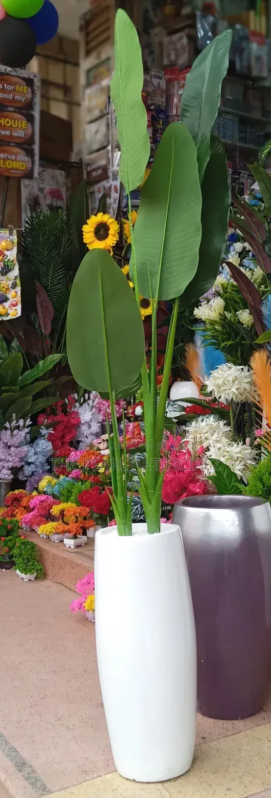 Artificial Plants/Flowers