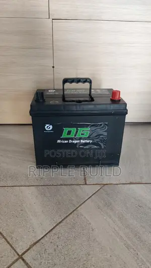 N65 60ah Maintenance Free Car Battery Dg African Dragon