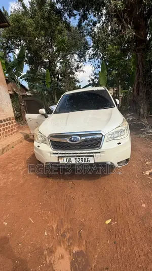 Subaru Forester 2013 White