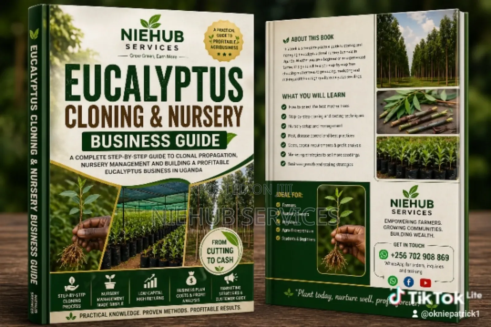 Eucalyptus Cloning and Mangos, Oranges Grafting