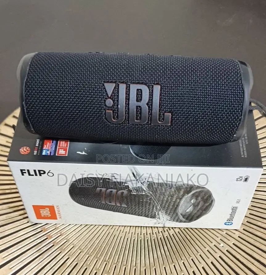 JBL Flip 6 1st Gen