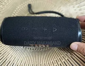 JBL Flip 6 1st Gen