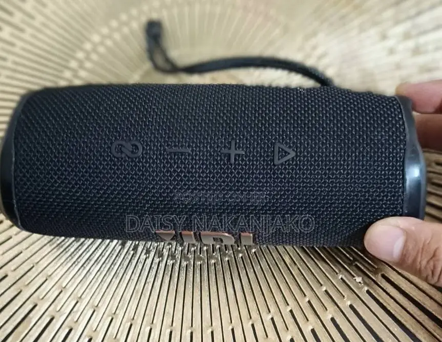 JBL Flip 6 1st Gen
