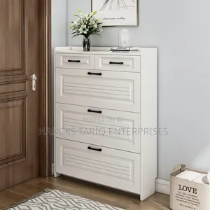 Modern Space-saving Shoe Cabinet