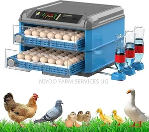 136 Imported Incubator