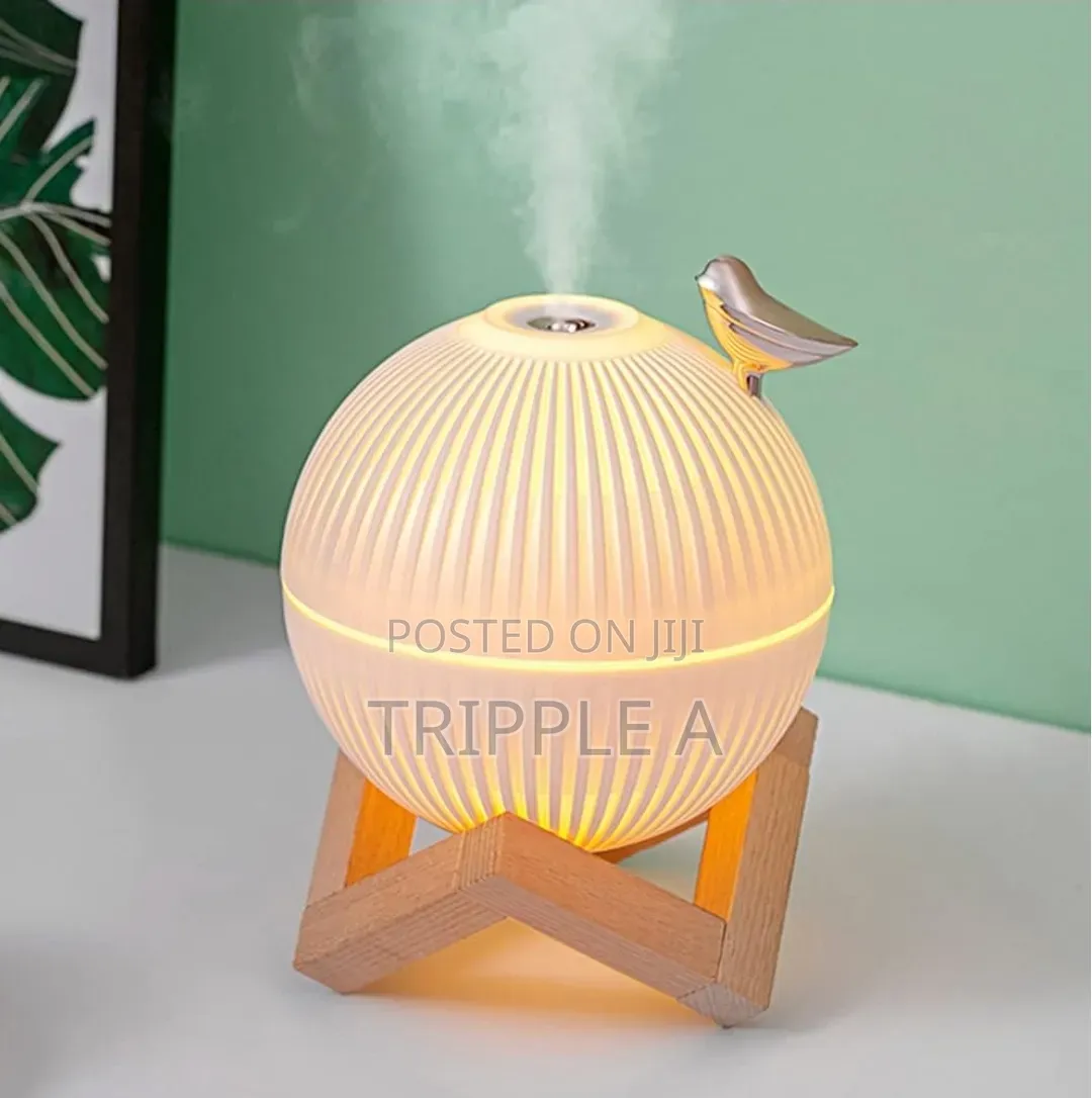 Creative Bird Humidifier