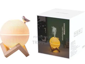 Creative Bird Humidifier