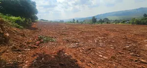 Lake View Plots for Sale – Ssisa Buswa (Entebbe Road)