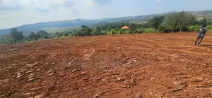 Lake View Plots for Sale – Ssisa Buswa (Entebbe Road)