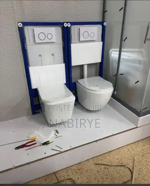 Concealed/Floating Toilet