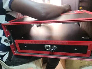 Microphone Case