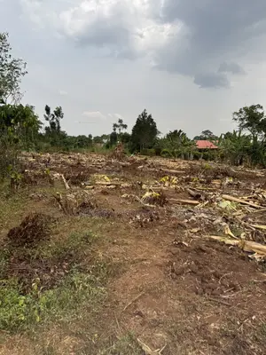 New Nakifuma-kakinzi Estate 50*50ft And 50*100 Plots Kabaka Land