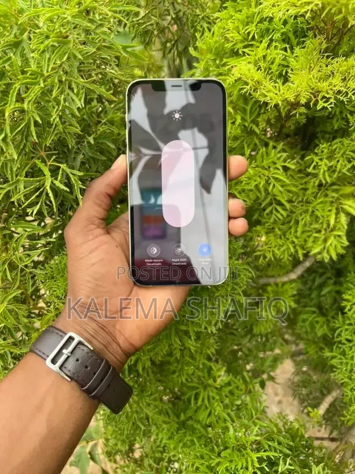 Apple iPhone 12 Pro 128 GB Gray