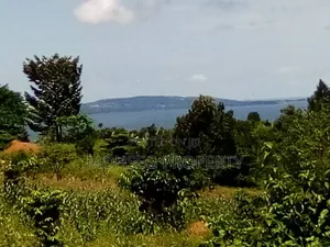 40 Acres of Prime Land for Sale in Garuga Entebbe