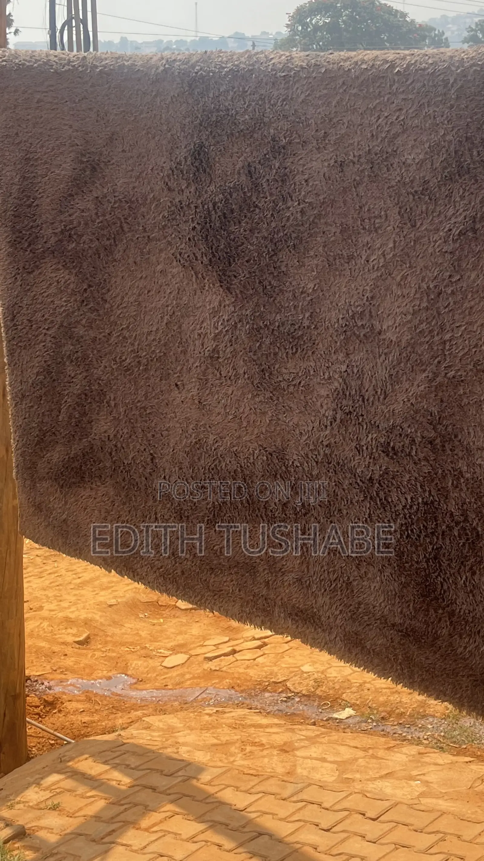 Professional Carpet Cleaning