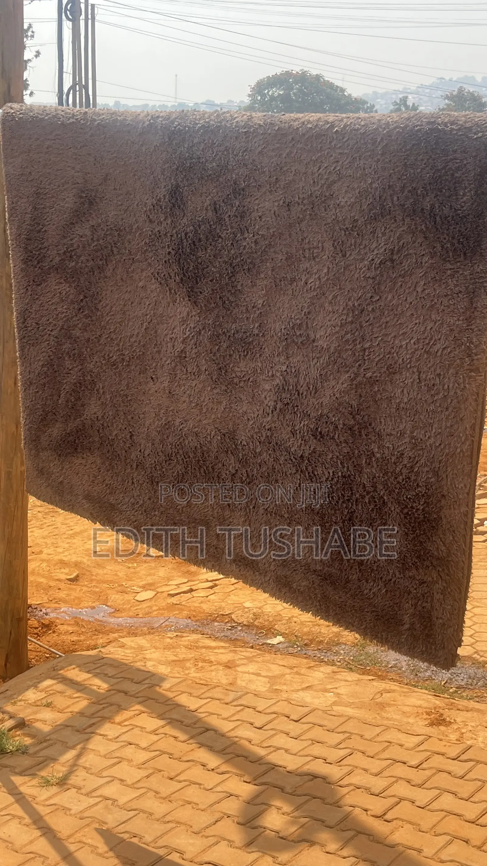 Professional Carpet Cleaning