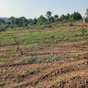 Wakiso Nampunge Estate