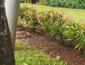 Garden Maintenance Services