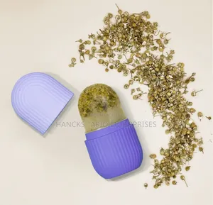 Silicone Ice Facial Roller Mold
