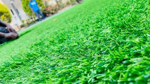 Taa Grass Carpets