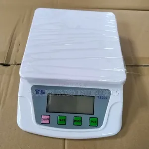 Ts200 Electronic Compact Scale