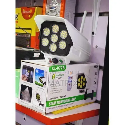 Solar Monitoring Lamp