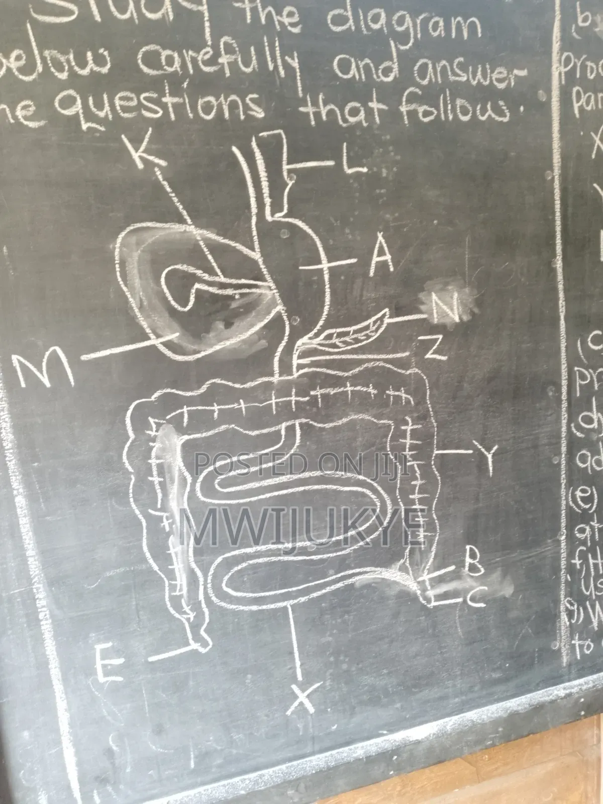 Science And Mathematics Lessons