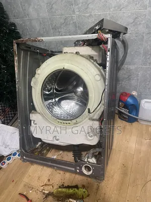 Completely Disassembled Front-Load Washing Machine