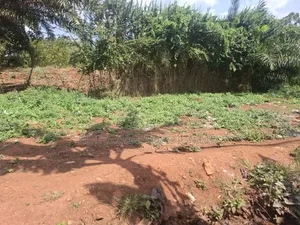 50x30ft Plot for Sale in Bunamwaya Ngobbe