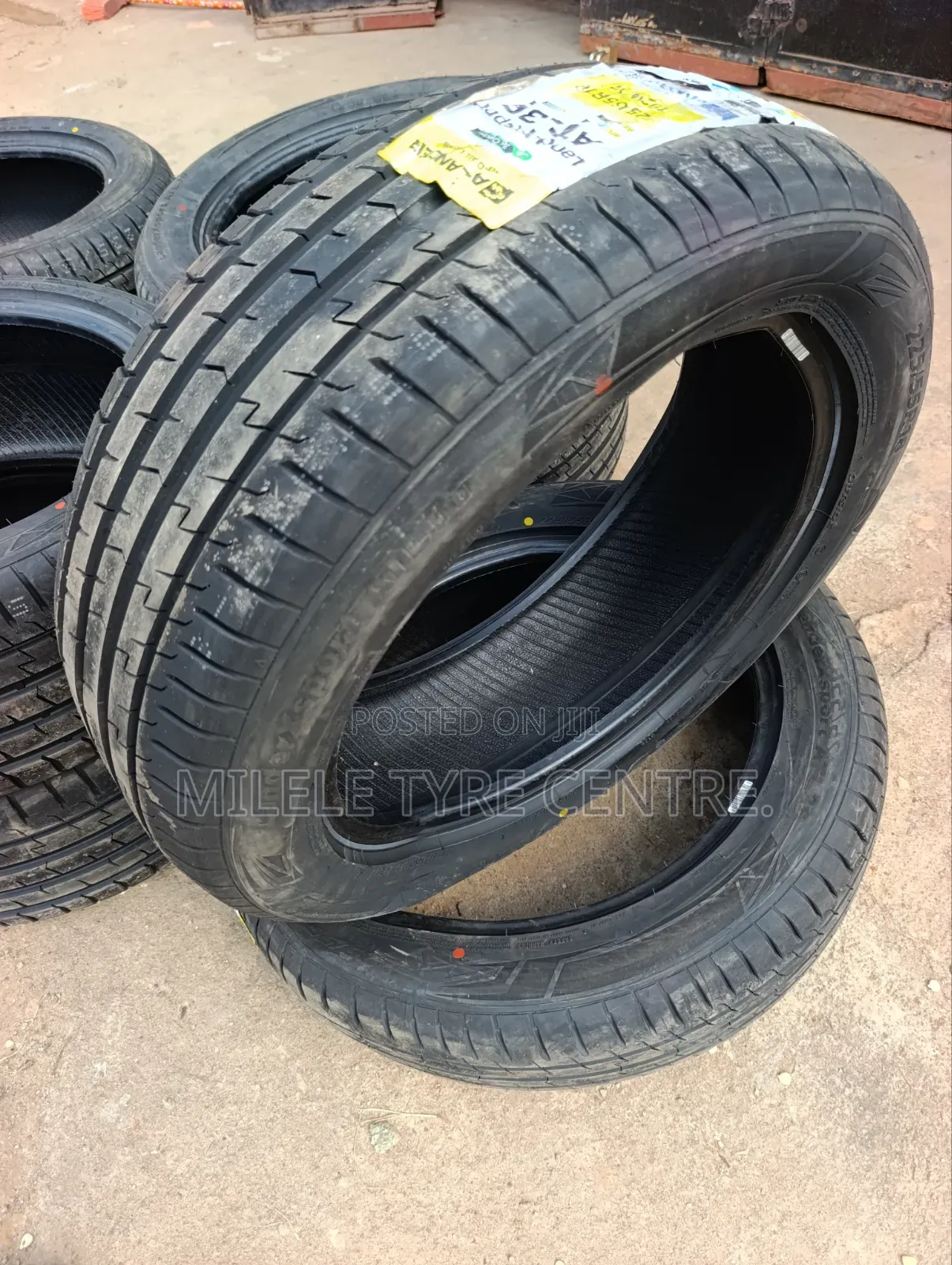 225/55r19 Atlander