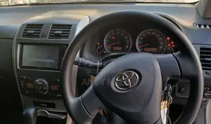 Toyota Corolla Fielder 2010 Silver