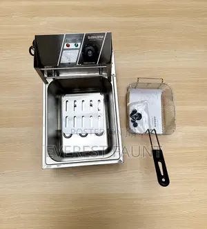 Global Star Kitcken System Deep Fryer