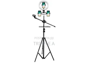 Ringlight With Stand and Microphone Stand Set Up