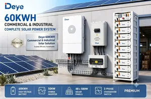 60kwh 48v Deye Commercial Industrial Lithium/Hybrid Solar System