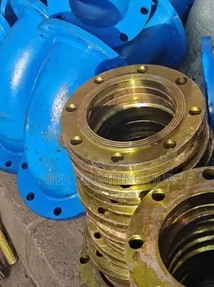 Ms Flanges Pn16