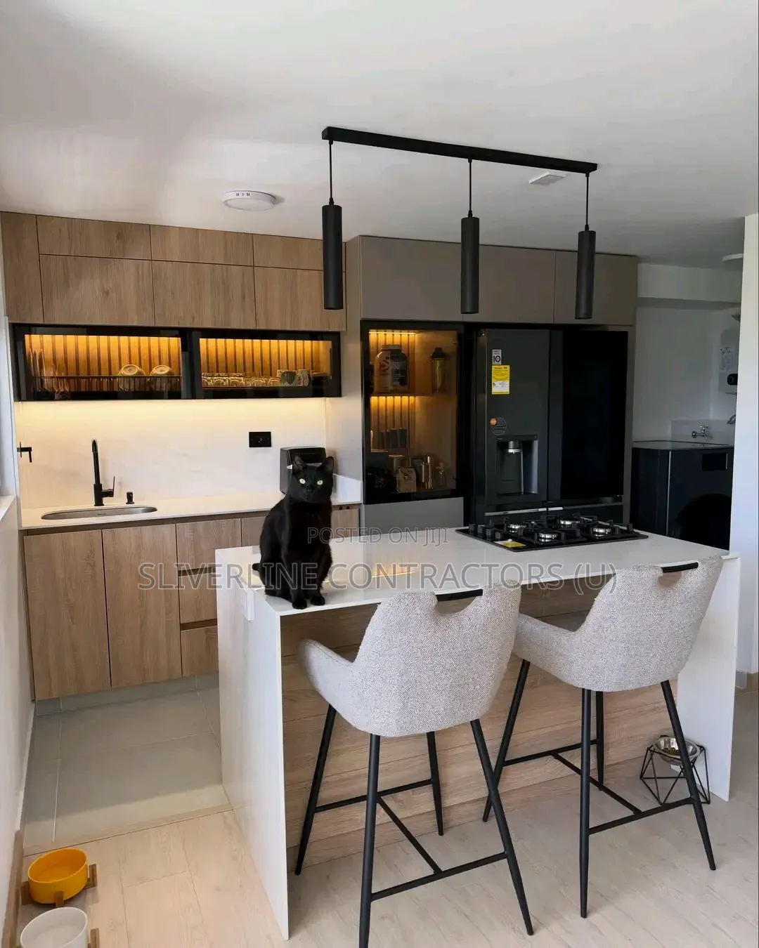 Modern Kitchen Cabinets